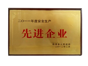 先進(jìn)企業(yè)